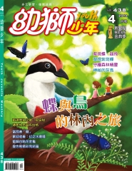 幼獅少年