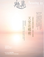 魅麗Amazing