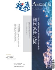 魅麗Amazing