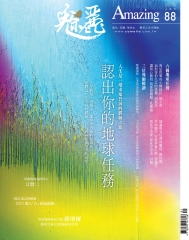 魅麗Amazing