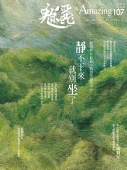 魅麗Amazing