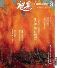 魅麗Amazing