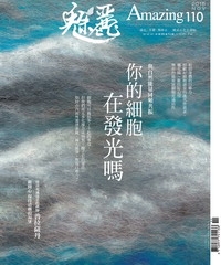 魅麗Amazing