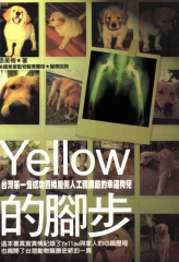 Yellow的腳步