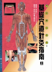 基礎穴道針灸指南：上
