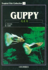 孔雀魚