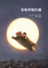 夜晚奔馳的貓