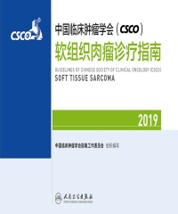 中国临床肿瘤学会（CSCO）软组织肉瘤诊疗指南．2019