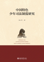 中国特色少年司法制度研究