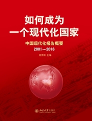 如何成为一个现代化国家：中国现代化报告概要（2001～2016）