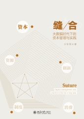 缝合：大数据时代下的资本管理与实践