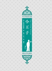 小王子（插图．中文导读英文版）
