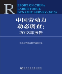 中国劳动力动态调查：2013年报告