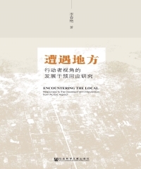 遭遇地方：行动者视角的发展干预回应研究