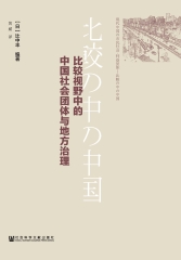比较视野中的中国社会团体与地方治理
