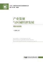 产业集聚与区域经济发展：理论与实践