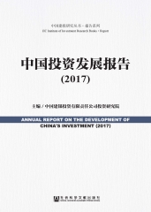 中国投资发展报告（2017）