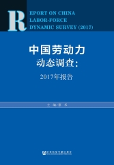 中国劳动力动态调查：2017年报告