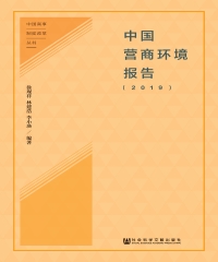 中国营商环境报告（2019）