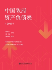中国政府资产负债表（2019）