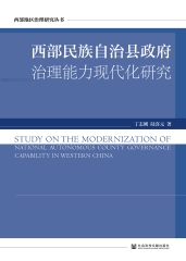 西部民族自治县政府治理能力现代化研究