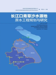 长江口青草沙水源地原水工程规划与研究