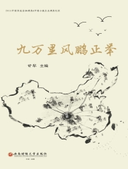 九万里风鹏正举：2015中国家庭金融调查＆中国小微企业调查纪实