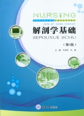 解剖学基础