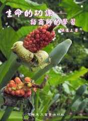 生命的功課：諮商師的學習