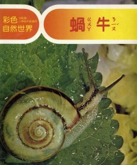 彩色自然世界：蝸牛