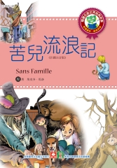 苦兒流浪記