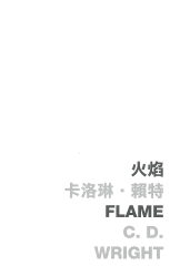 火焰 Flamce