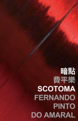 暗點 Scotoma