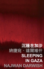 沉睡在加沙 Sleeping in Gaza