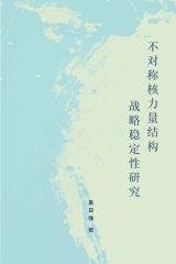 不对称核力量结构战略稳定性研究