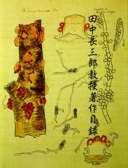 國立臺灣大學圖書館館藏大鳥文庫目錄