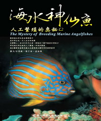海水神仙魚人工繁殖的奧秘