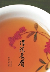 浮沉展眉：陳依文散文集