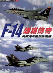 雄貓傳奇：F-14美國海軍重型艦載機