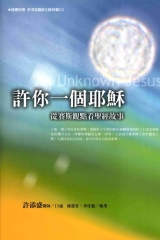 許你一個耶穌：從賽斯觀點觀看聖經故事