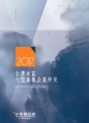 2017年版台灣地區大型集團企業研究
