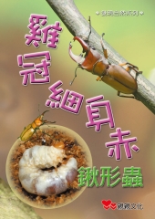 雞冠細身赤鍬形蟲