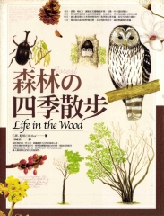 森林の四季散步