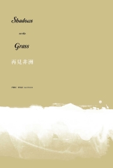 遠離非洲2：再見非洲