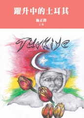 躍升中的土耳其