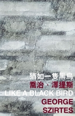 猶如一隻黑鳥 Like a Black Bird