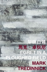 犁田白鷺 Egret in a Ploughed Field