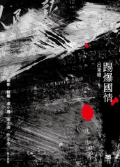 踢爆國情