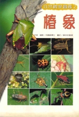椿象