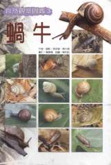 蝸牛